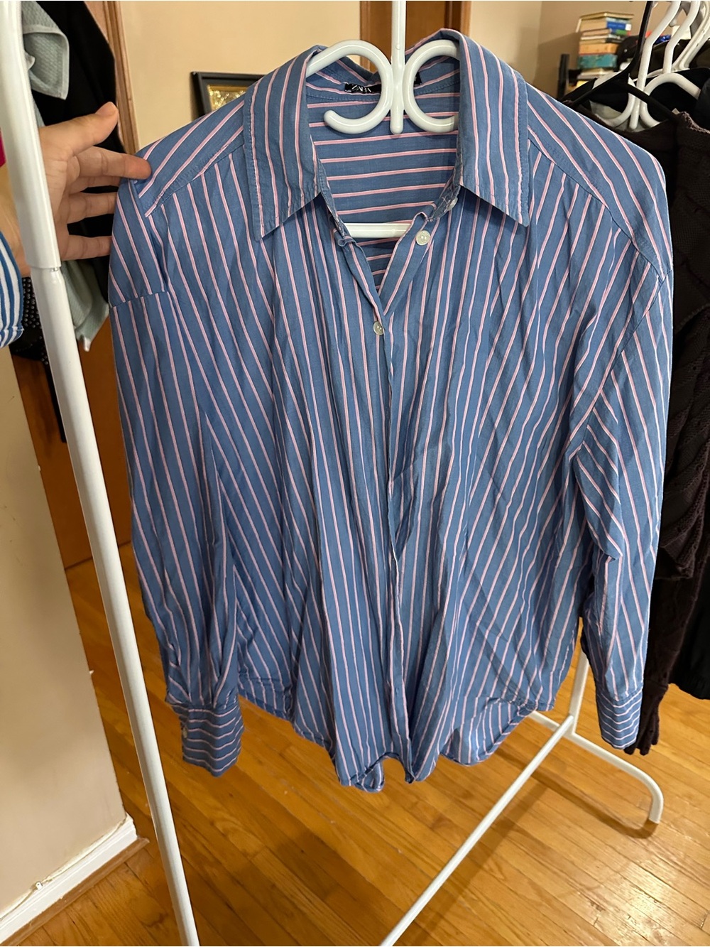 Zara Blue Button-Up Shirt with Pink Stripes